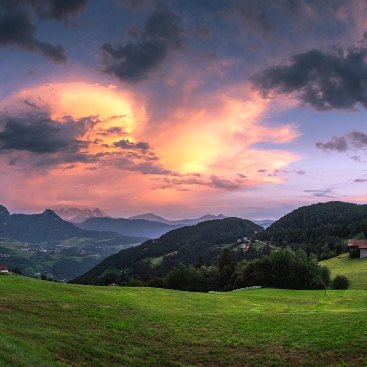 Alpine